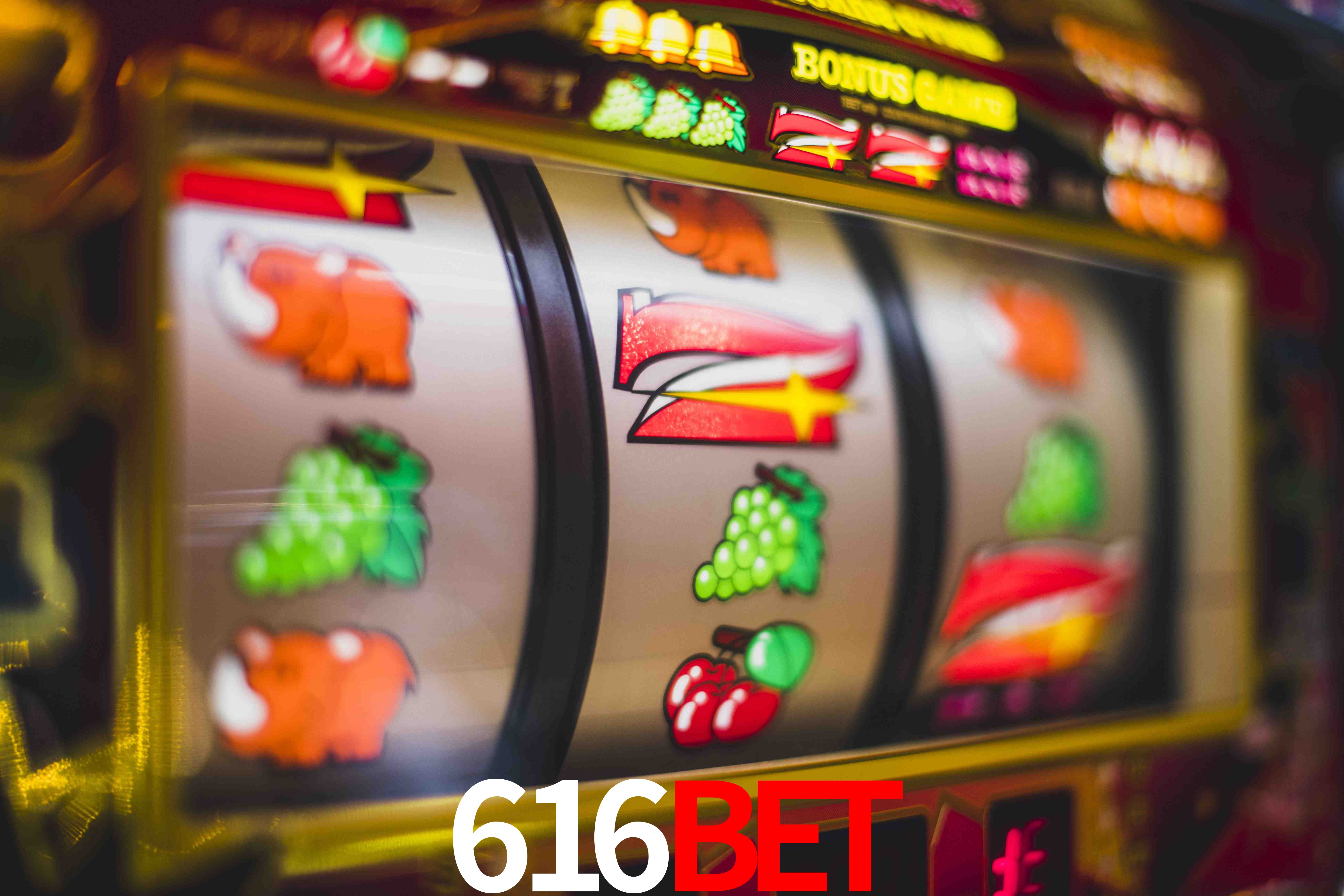 Statistics 616bet